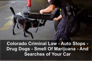 Colorado Criminal Law - Auto Stops - Drug Dogs - Smell Of Marijuana - And Searches of Your Car-1